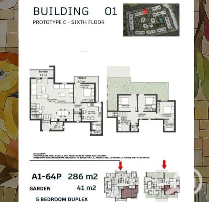 2 WhatsApp Image 2025-11-16 at 11.13. 44 PM. jpeg