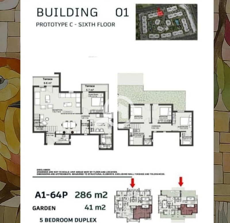 3 WhatsApp Image 2025-11-16 at 11.13. 44 PM. jpeg