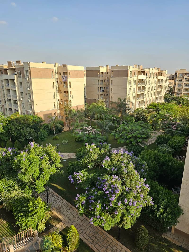 3 358eab74-cc63-4100-8a31-46a6750d7dd4. jpeg