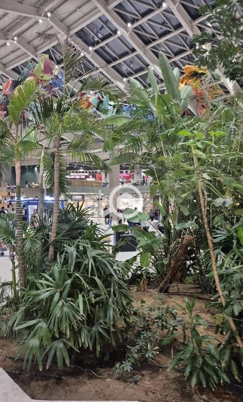 4 WhatsApp Image 2025-11-15 at 1.46. 25 PM. jpeg