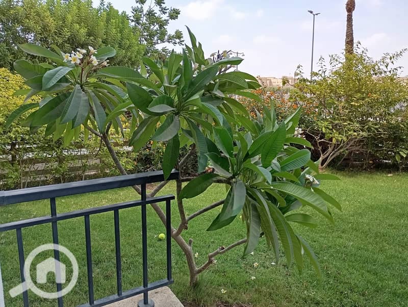 3 WhatsApp Image 2025-11-15 at 10.43. 59 AM (4). jpeg