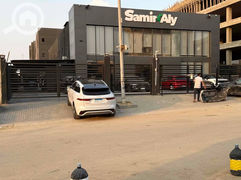 IMG_3586. jpg IMG_3586. jpg