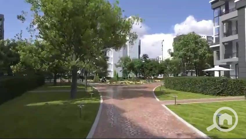 6 vlcsnap-2025-01-12-15h48m14s554. jpg