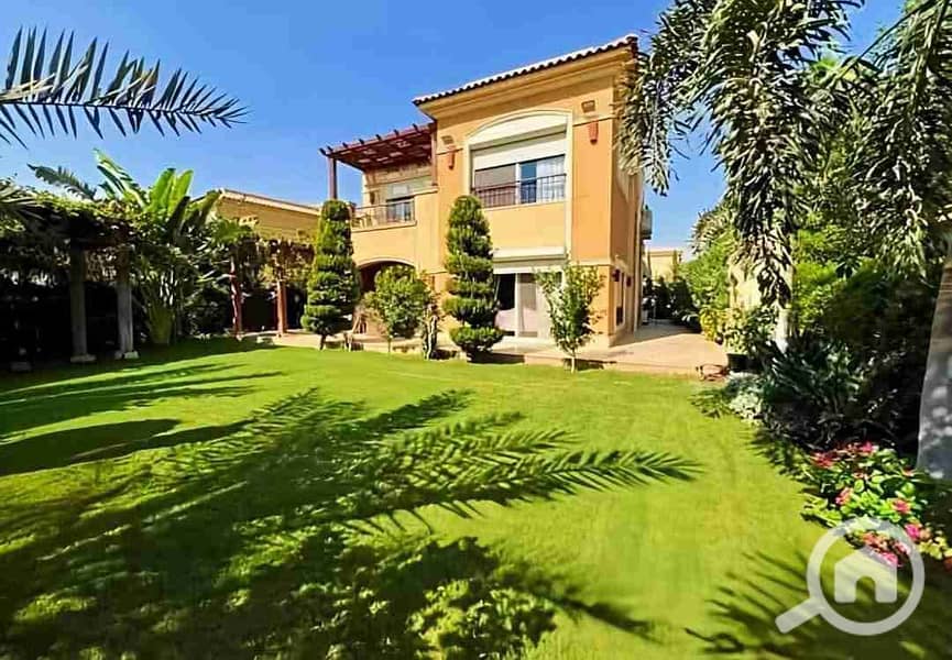 1000664667. jpg 1000664667. jpg