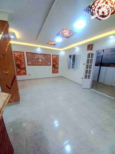 فلیٹ 2 غرفة نوم للبيع في النخيل، الإسكندرية - 1000429257. jpg فلیٹ 2 غرفة نوم للبيع في النخيل، الإسكندرية - 1000429257. jpg