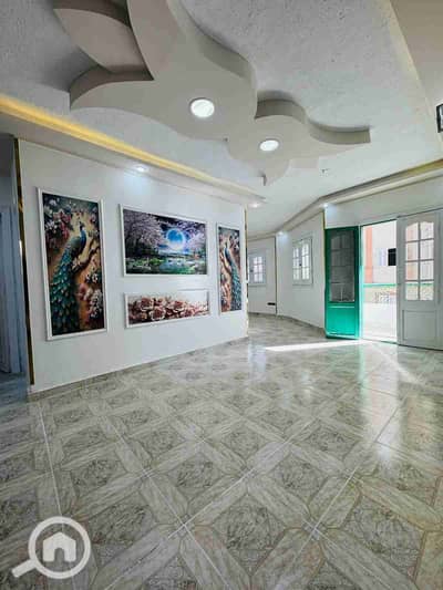 فلیٹ 2 غرفة نوم للبيع في النخيل، الإسكندرية - 1000428381. jpg