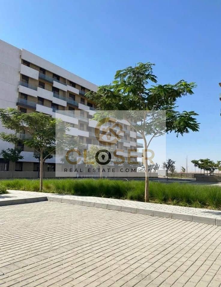 4 468036496_442735218864705_3652559725672996113_n. jpg