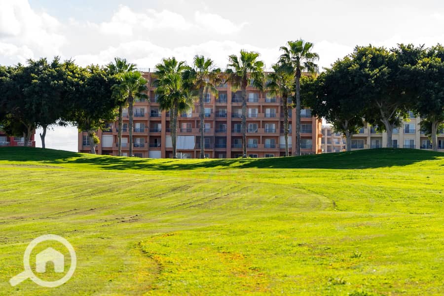 1 (1). png 1 (1). png