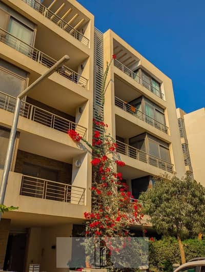 2 Bedroom Apartment for Sale in New Cairo, Cairo - WhatsApp Image 2025-10-27 at 1.15. 47 PM (2). jpeg 2 Bedroom Apartment for Sale in New Cairo, Cairo - WhatsApp Image 2025-10-27 at 1.15. 47 PM (2). jpeg