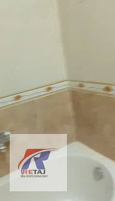 12 WhatsApp Image 2025-11-16 at 5.47. 23 PM. jpeg