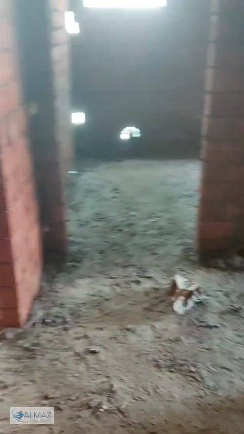 12 WhatsApp Image 2025-11-17 at 11.08. 24 AM. jpeg