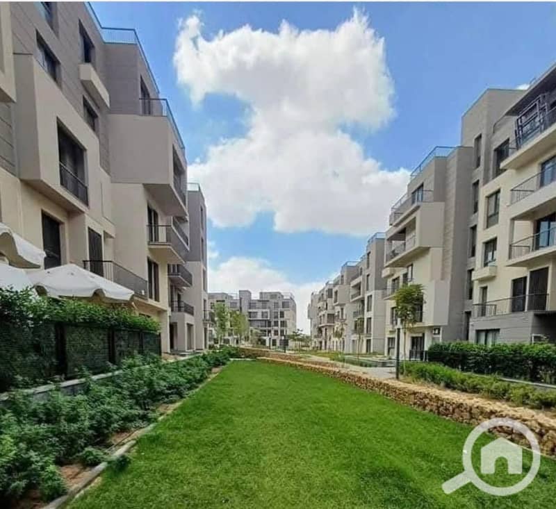 10 581434337_122111611749033733_7216062876133293088_n. jpg