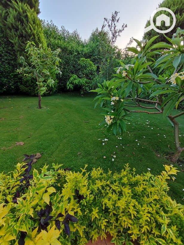 7 17d3aad7-1944-4814-8a1d-7ead69dfaf6d. jpg