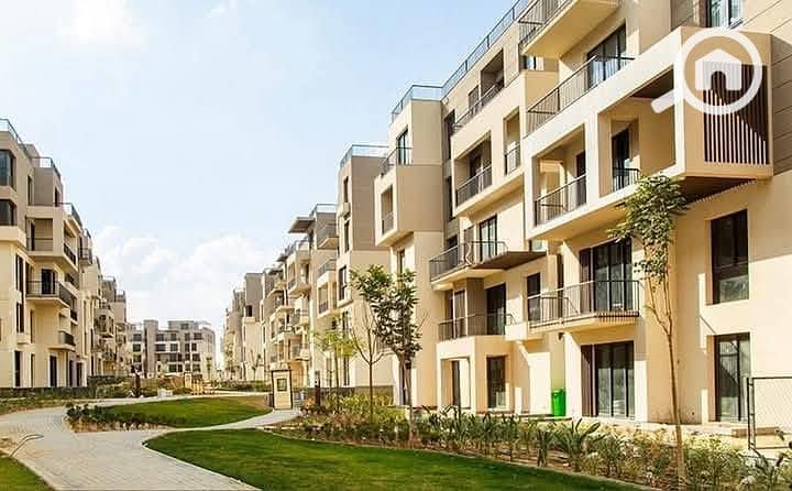 10 571325205_122196126572324160_7617295364855607393_n. jpg