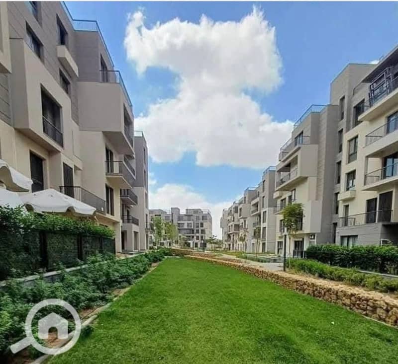 12 581434337_122111611749033733_7216062876133293088_n. jpg