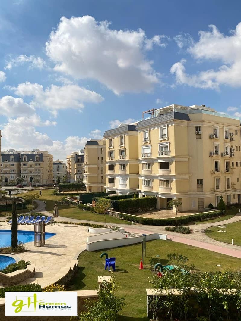 4 445365832_433845569607375_5906410833700952131_n. jpg