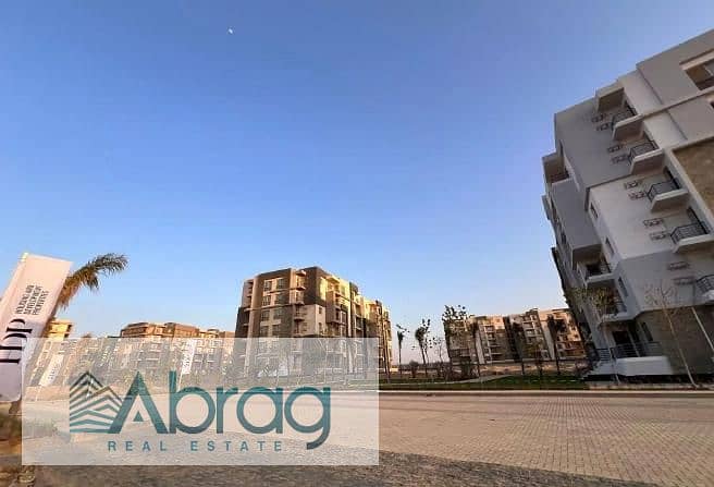 7 8086009-9491bo. jpg