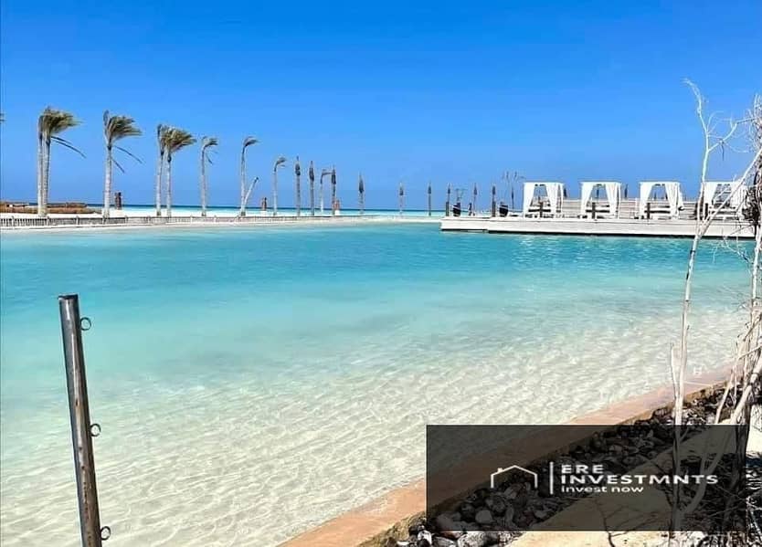 9 517409848_122231435468186159_925792357097729843_n. jpg