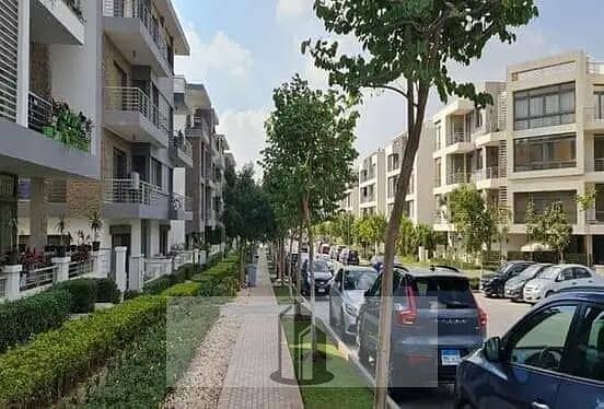 3 472715798_1145210270528264_3161154868164593360_n. jpg