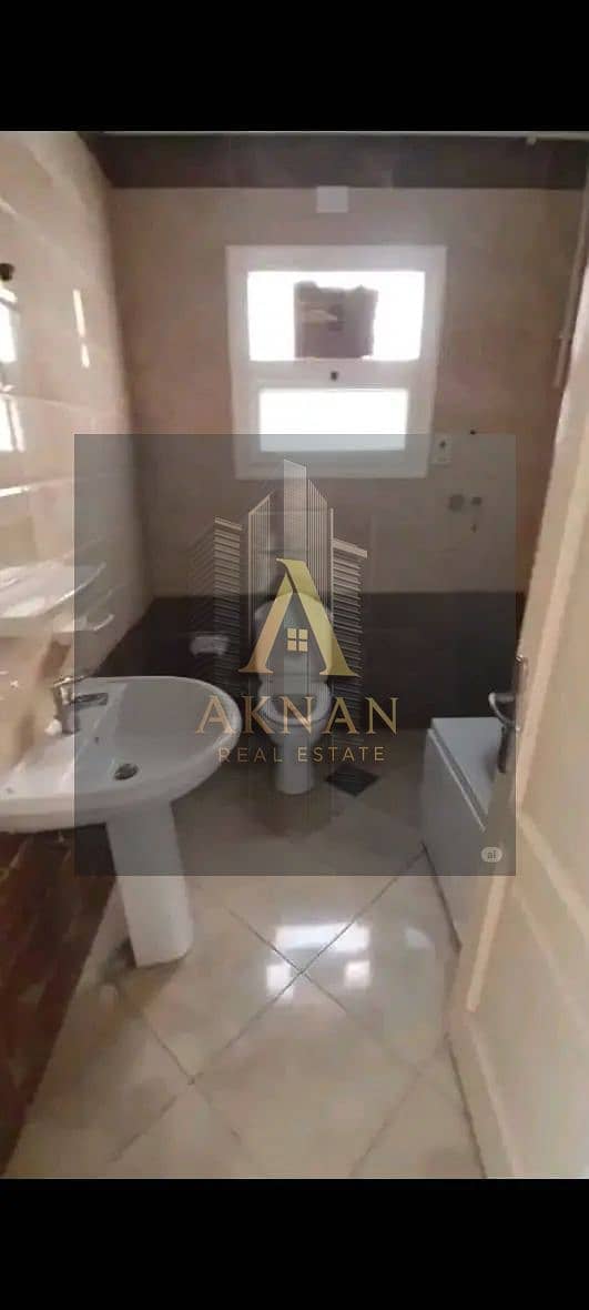 3 1763373244454. jpg