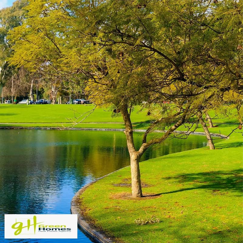 6 447760402_434828932675141_5433452439834908014_n. jpg