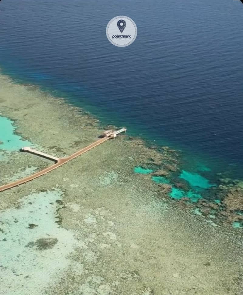 12 WhatsApp Image 2025-09-07 at 17.12. 22_3ed218a2. jpg