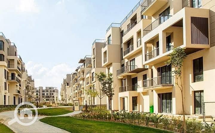 10 571325205_122196126572324160_7617295364855607393_n. jpg