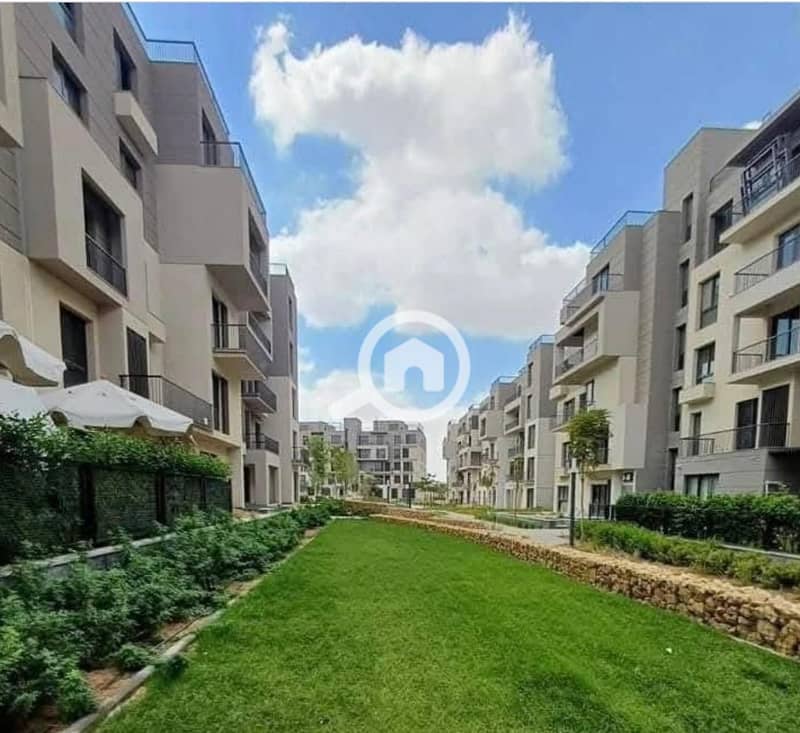 12 581434337_122111611749033733_7216062876133293088_n. jpg