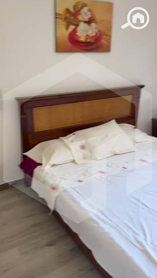 10 Palm Parks 10. jpg