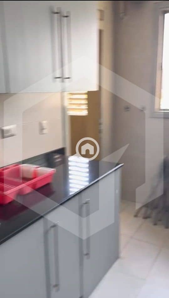 12 Palm Parks 12. jpg