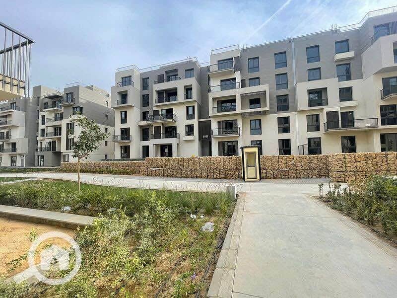 3 WhatsApp Image 2025-11-03 at 17.55. 15_873a060e. jpg