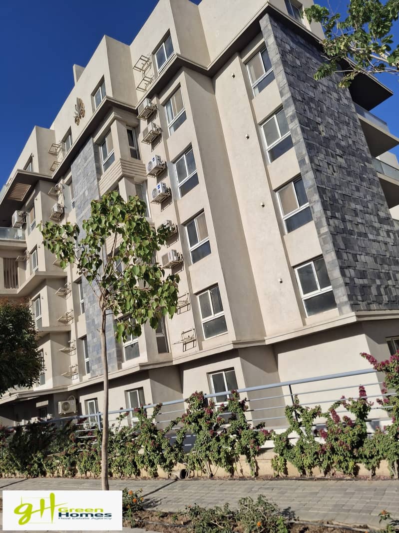 4 692d9948-7572-4973-81ff-64dae3f60af1. jpg