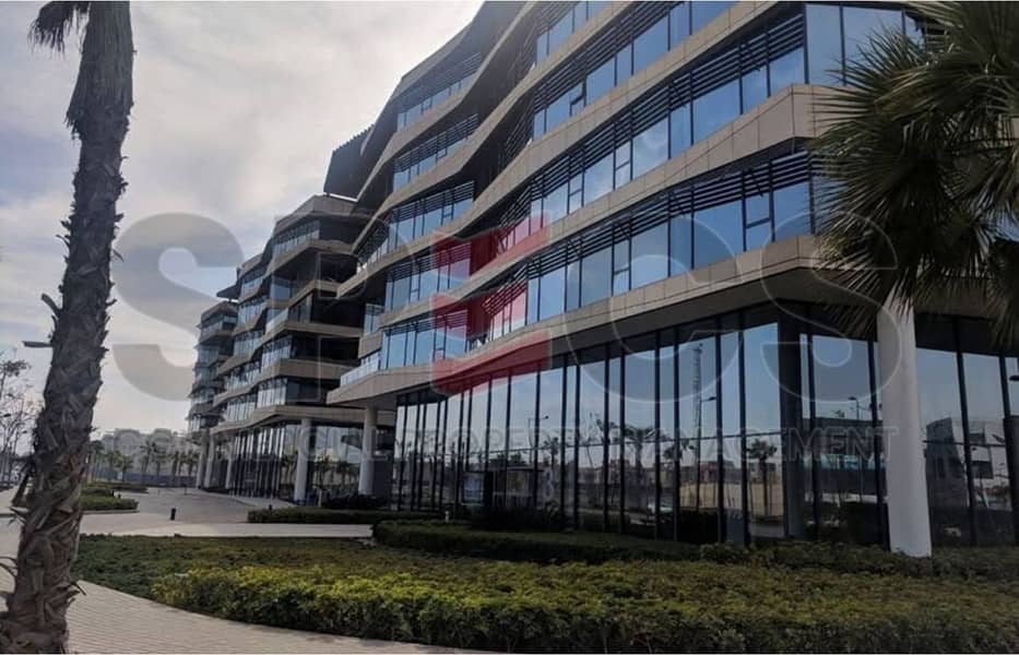 IMG-20250528-WA0031. jpg IMG-20250528-WA0031. jpg