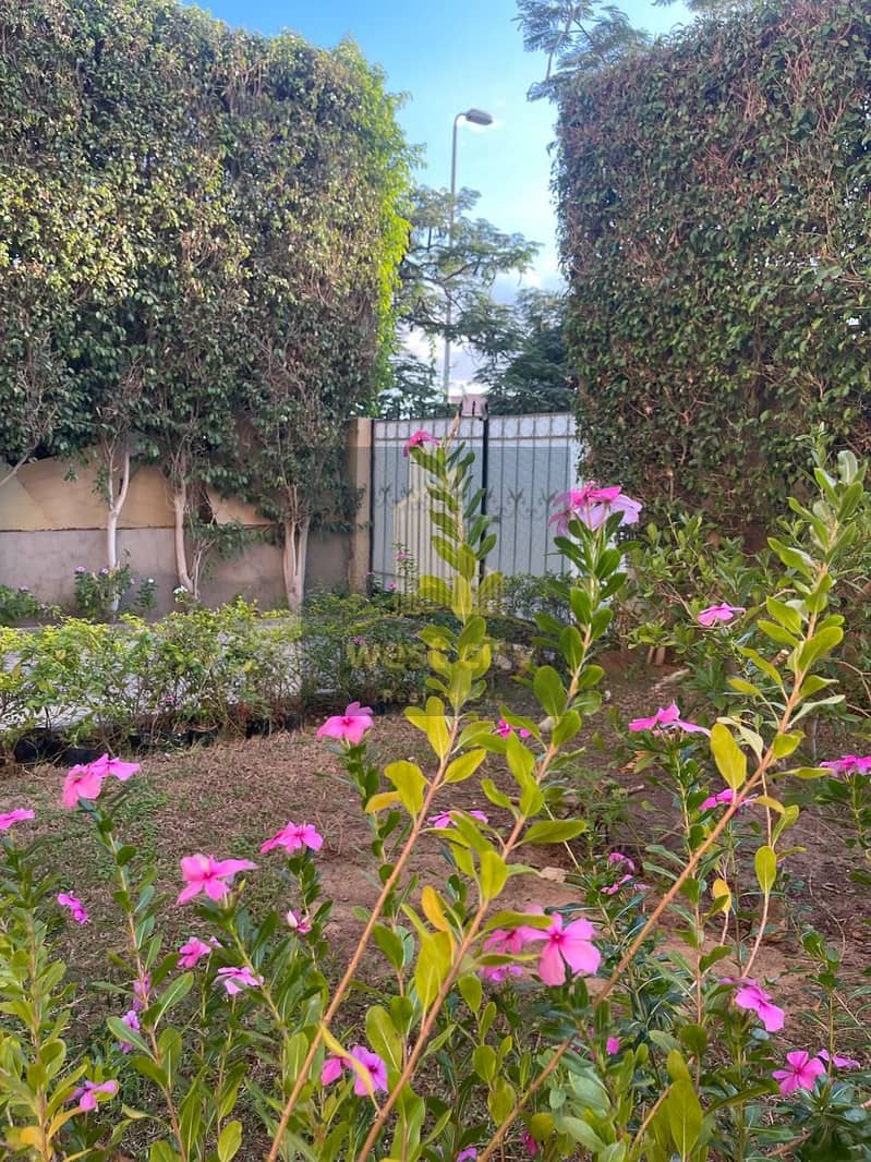 IMG-20251115-WA0160. jpg IMG-20251115-WA0160. jpg