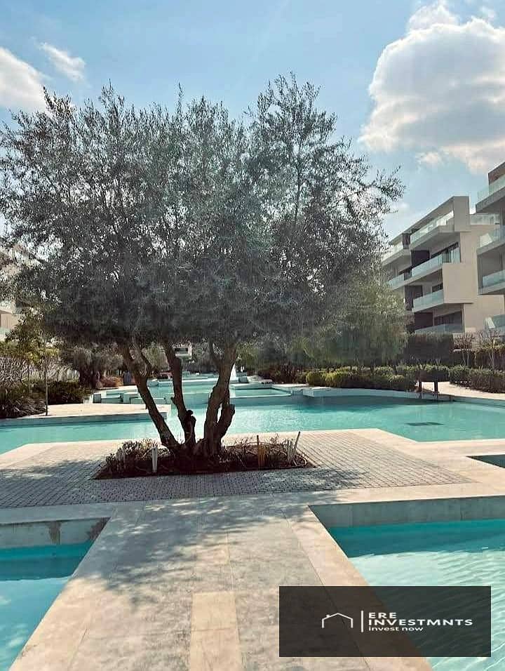 17 526562563_733108969638488_4303786185630337676_n. jpg