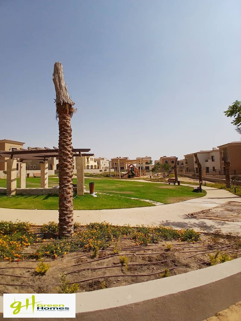 6 20250622_153723. jpg