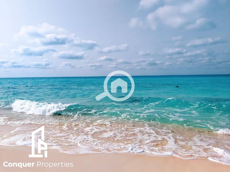 10 Untitled design - 2023-08-07T153231.734. png