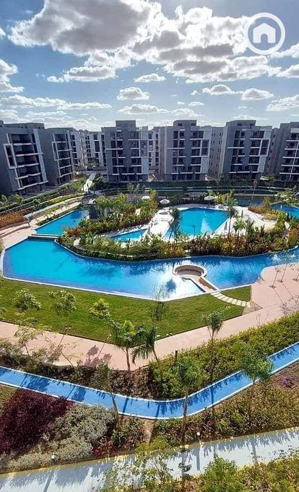 4 481218901_1341731353939355_1873070824743214875_n. jpg