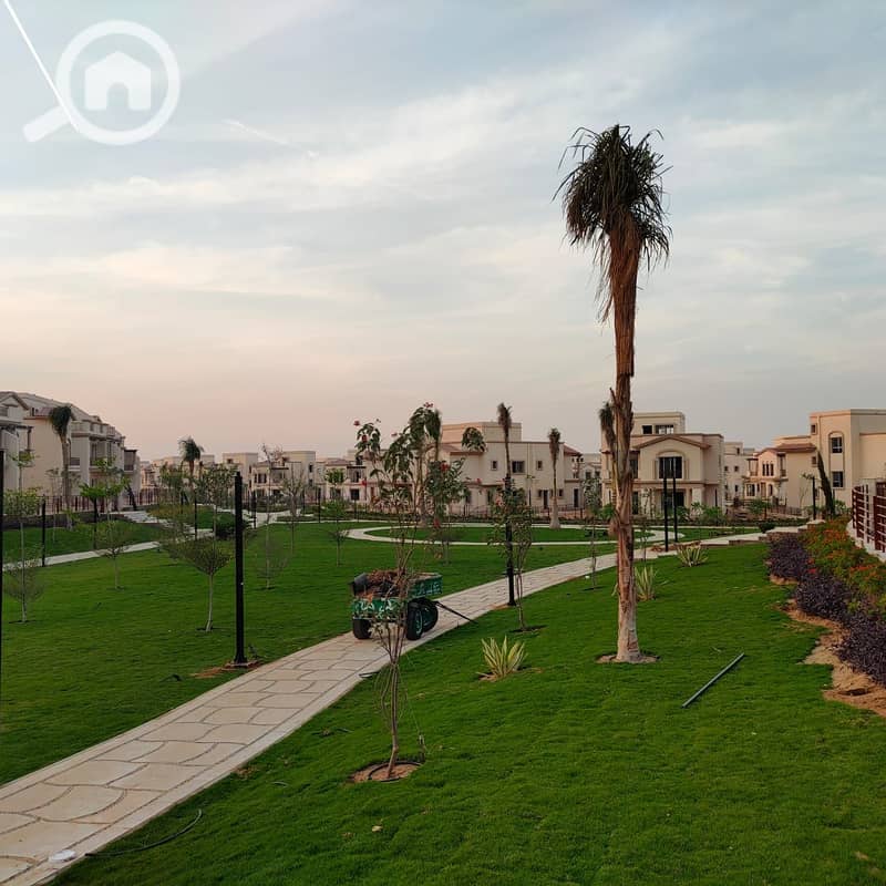 13 d909f21f-f7cd-4d3e-8ca0-63d068014eff. jpg