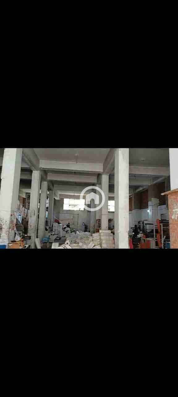 IMG-20251117-WA0005. jpg IMG-20251117-WA0005. jpg