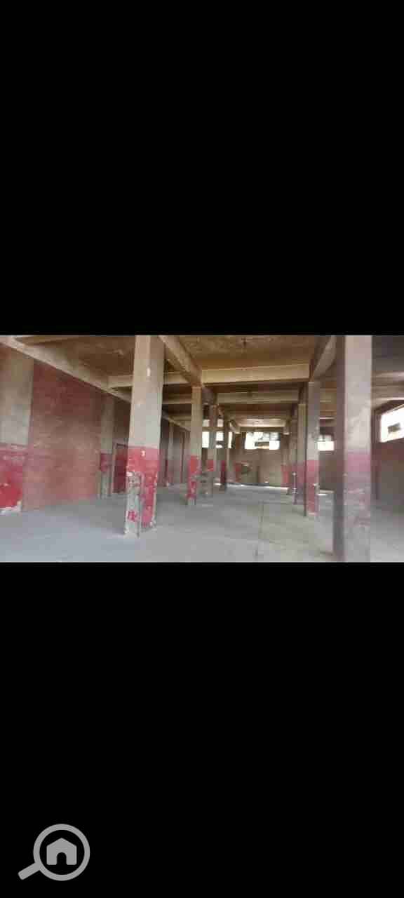 4 IMG-20251117-WA0004. jpg