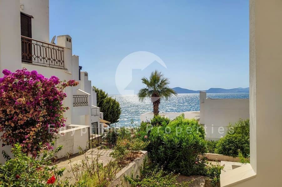 DeWatermark. ai_1757857168257. jpeg DeWatermark. ai_1757857168257. jpeg