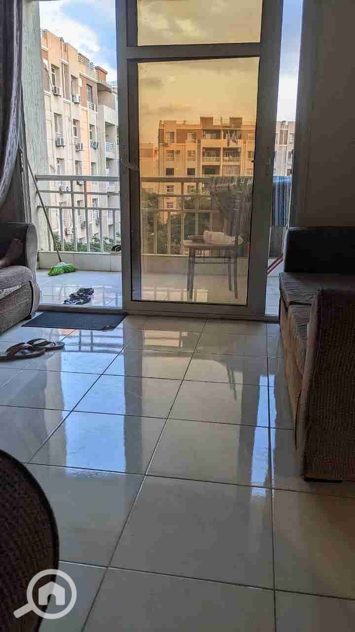 3 motion_photo_2215490071868647050. jpg