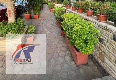 6 60c4c137-ece3-4564-b6da-f63c1798ee73. jpg