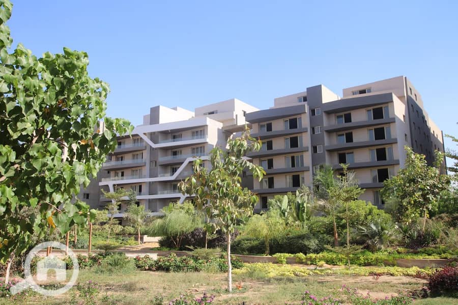 6 IMG-20251109-WA0060. jpg