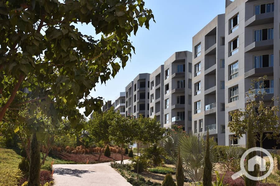 7 IMG-20251109-WA0061. jpg