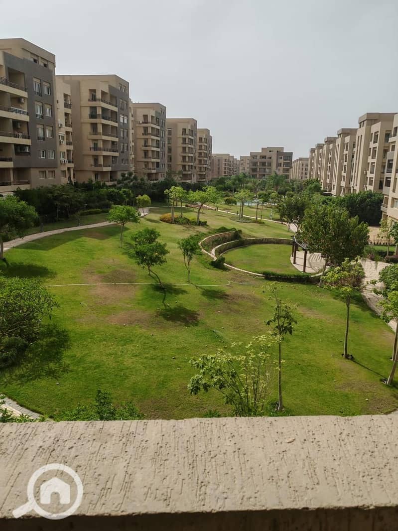 10 the square15. jpg