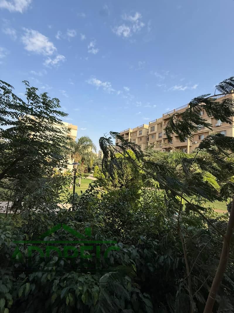 6 IMG-20251117-WA0047. jpg