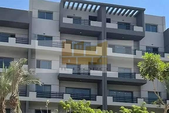 4 WhatsApp Image 2025-11-17 at 11.40. 33 AM. jpeg