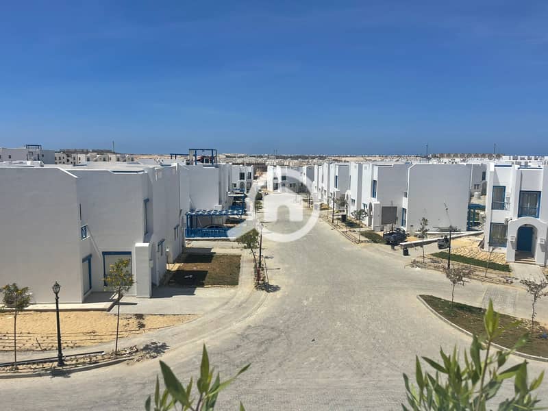 4 cf05c3ea-fe47-483f-9c9c-92f0da02749c. jpeg